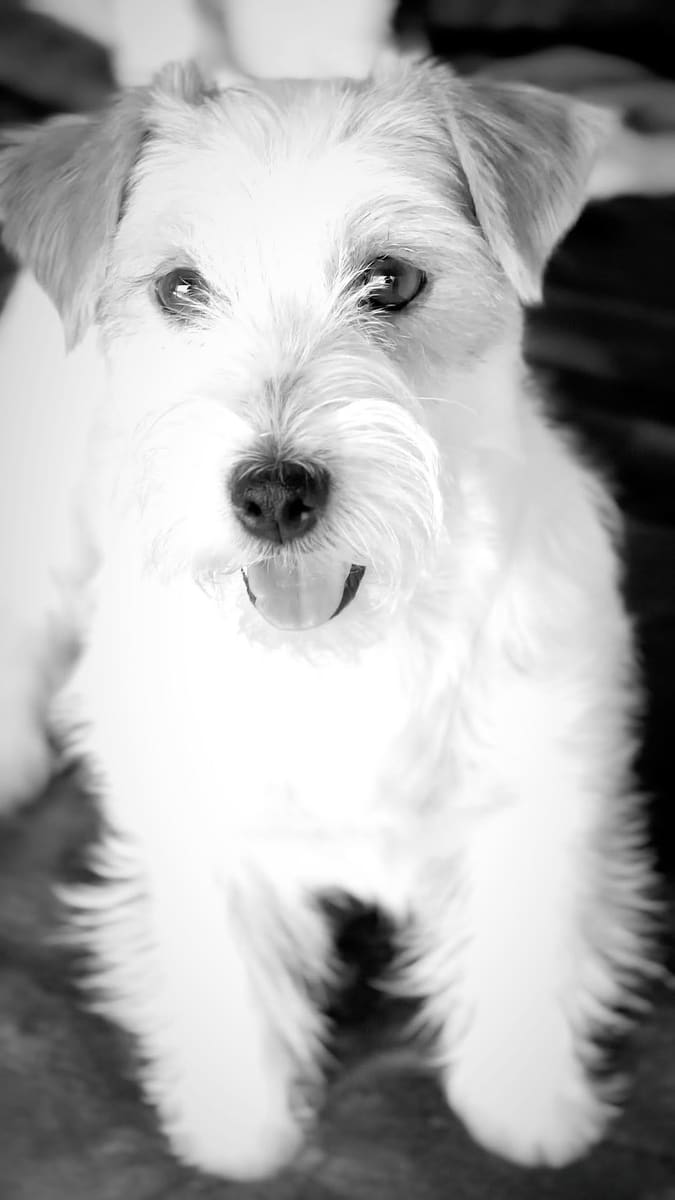 Atena, foto 1