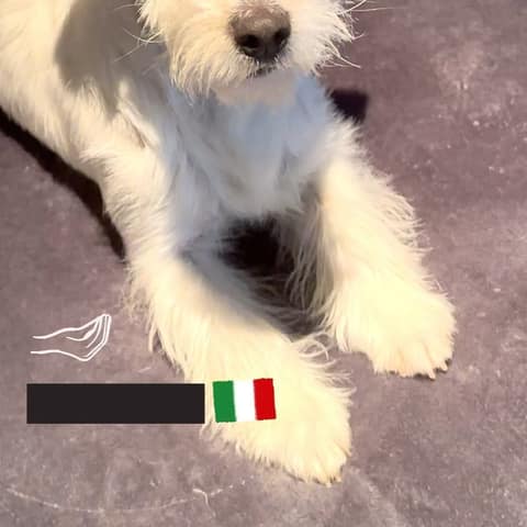 Atena, foto 3