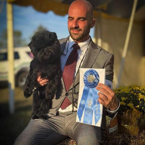 Bayclan Macho Miguel V Tani Kazari (Miguelito), foto 5